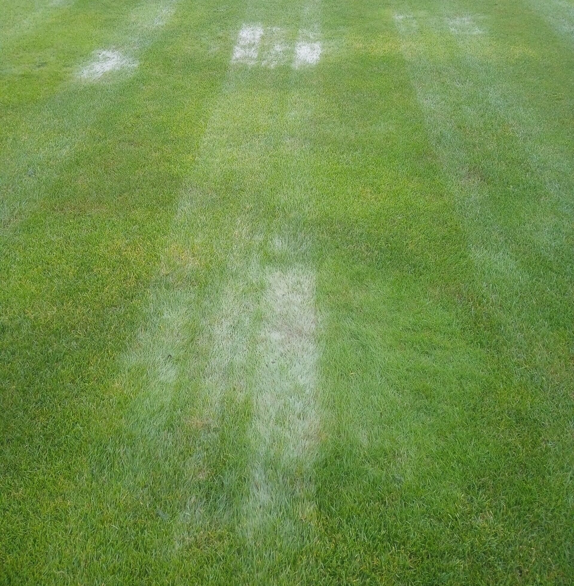 Read more about the article Mecz ze Świdniczanką odwołany