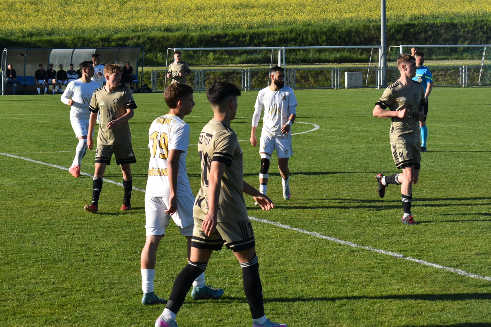 Read more about the article Wygrana w Starym Zamościu